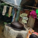 도담소리숲 유치원 이미지