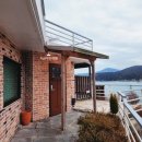 지안FOREST 이미지