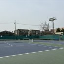 대원테니스장 이미지