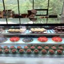 레드브릿지 이미지