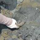 노을이 머무는 곳 이미지