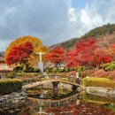 배론성지 이미지