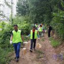 봉화산둘레길 이미지