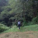 보은산소 Daum카페