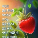 ♤긴급공지♧ 이미지