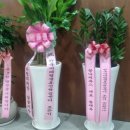 위앤아이