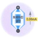 Re:피톤치드의 살균효과 이미지