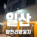 양천리양꼬치 | [경기 일산] 일산 백석동 맛집 양천리양꼬치 통통한 꼬치에 꿔바로우까지 완벽했던 A세트 후기