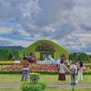 황금정원 이미지