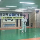 용인대 한라태권도 이미지