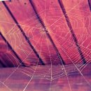 술 도둑놈 이미지