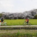 경주 '삼릉 가는 길' 자전거여행 이미지
