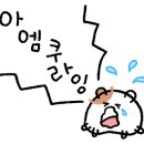 대릉향방