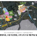 새금호약국 네이버블로그