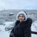 지에스(GS)25 감일한라 | 제주 한라산 1100고지 주차 겨울 제주의 매력 한라산 눈꽃버스 시간표 1100고지 cctv