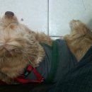 만세동물병원 이미지