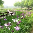 용담가족테마공원2 이미지