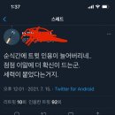 정은경 청장을 건드린 트찔이의 근황.. 이미지