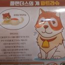 파트라슈 이미지