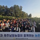 제주 남원읍-3 헤드라인제주