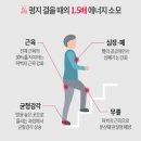 🔸️＜必讀＞가장 중요한운동 이미지