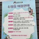 경주시화랑마을 | 경주 화랑마을 문무야외수영장 후기｜가성비 최고 경주 야외수영장 2026 운영정보, 준비물, 이용팁까지