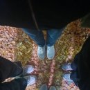 대경미담 이미지