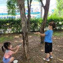 김포서초병설유치원 이미지