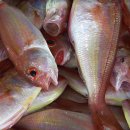 해양수산전문행정사 이미지