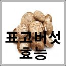 표고버섯 효능 이미지