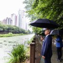 서운근린공원 이미지