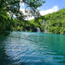 영돌농장 이미지