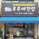루루애견샵