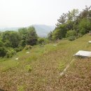 인계초등학교 Daum카페