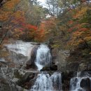 가을 단풍이 좋은 자연휴양림 10곳 이미지