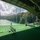 엘리시안 강촌 골프연습장 이미지