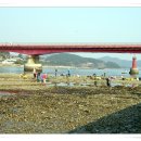 지족갯마을 이미지