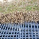 지원농장 이미지