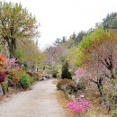 미산농원 이미지