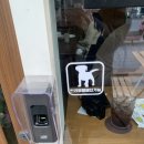 내동애견 | 김해 브런치 카페 오번브런치 | 애견동반 가능한 내동 카페