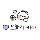 양말코히 이미지