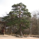 비선대만남의광장