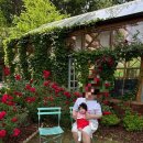 JJ PC | 안산에서 가기좋은 수원 일월수목원, 화성 우리꽃식물원 아기랑 다녀온 비교후기