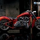 로드스타 이미지