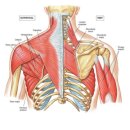 25.11/16(일) 바차타 초중급 후기 이미지