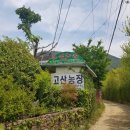 사파동374 이미지