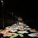 서원3 | [안동/도산서원] 3월 도산서원 야간개장 방문 후기, 매화꽃 개화 현황