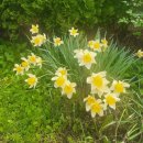 엔젤리너스 진주금호못점 이미지