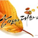 낭만에대하여 티스토리