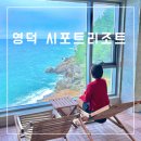 시포트리조트 | [경북 영덕] 가성비 좋은 영덕 시포트리조트 풀빌라 브라운 후기 오션뷰 프라이빗 수영장